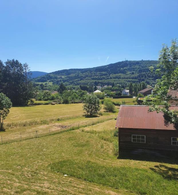 Chalet Les Boudieres 6 Pers Pres Gerardmer Cosy Billard Fraize Exterior photo